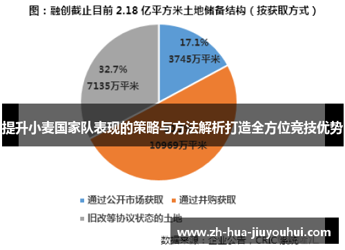 提升小麦国家队表现的策略与方法解析打造全方位竞技优势