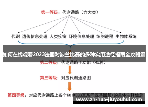 如何在线观看2023法国对波兰比赛的多种实用途径指南全攻略篇
